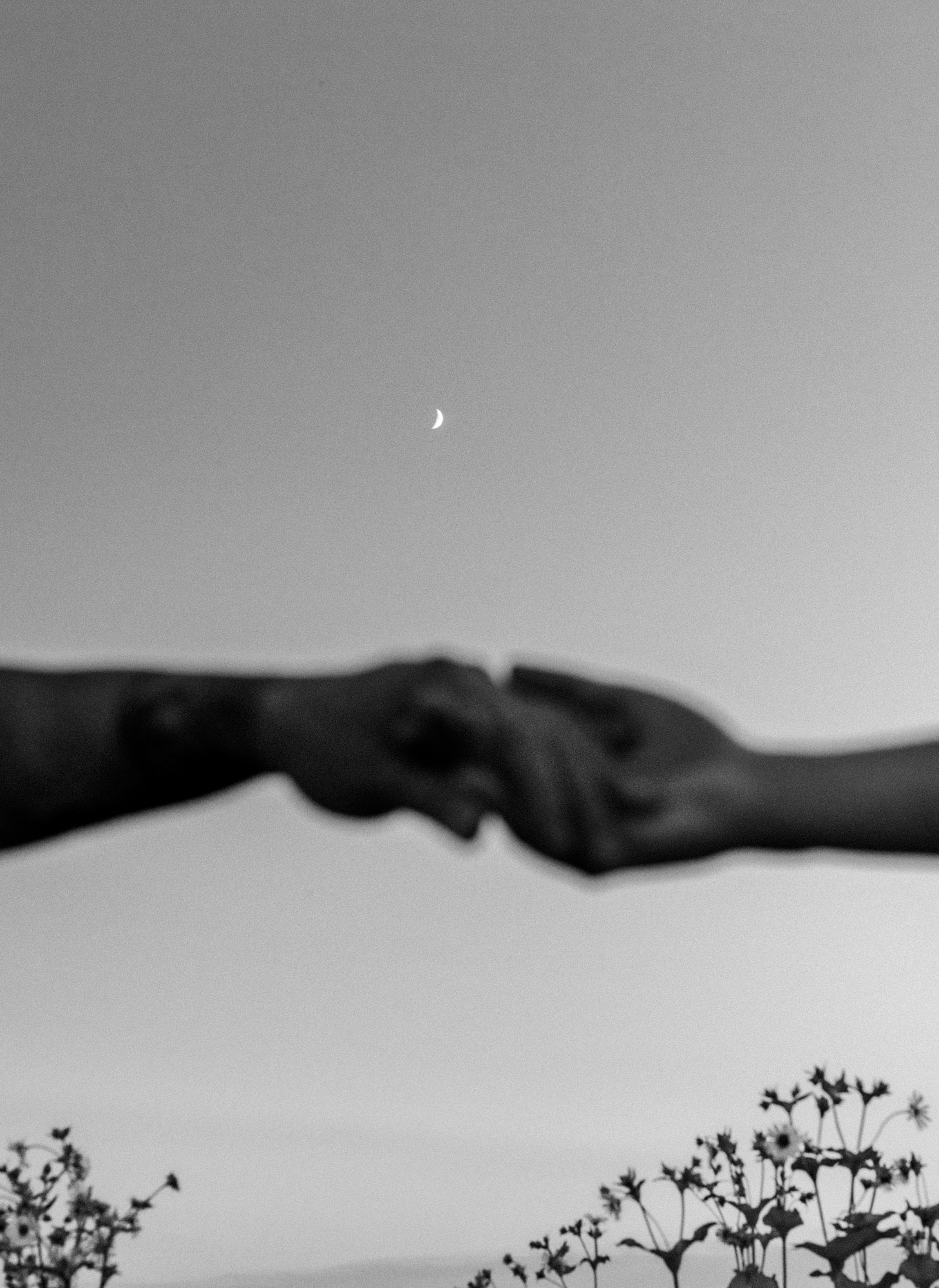 Northampton Hayfield Couples Session