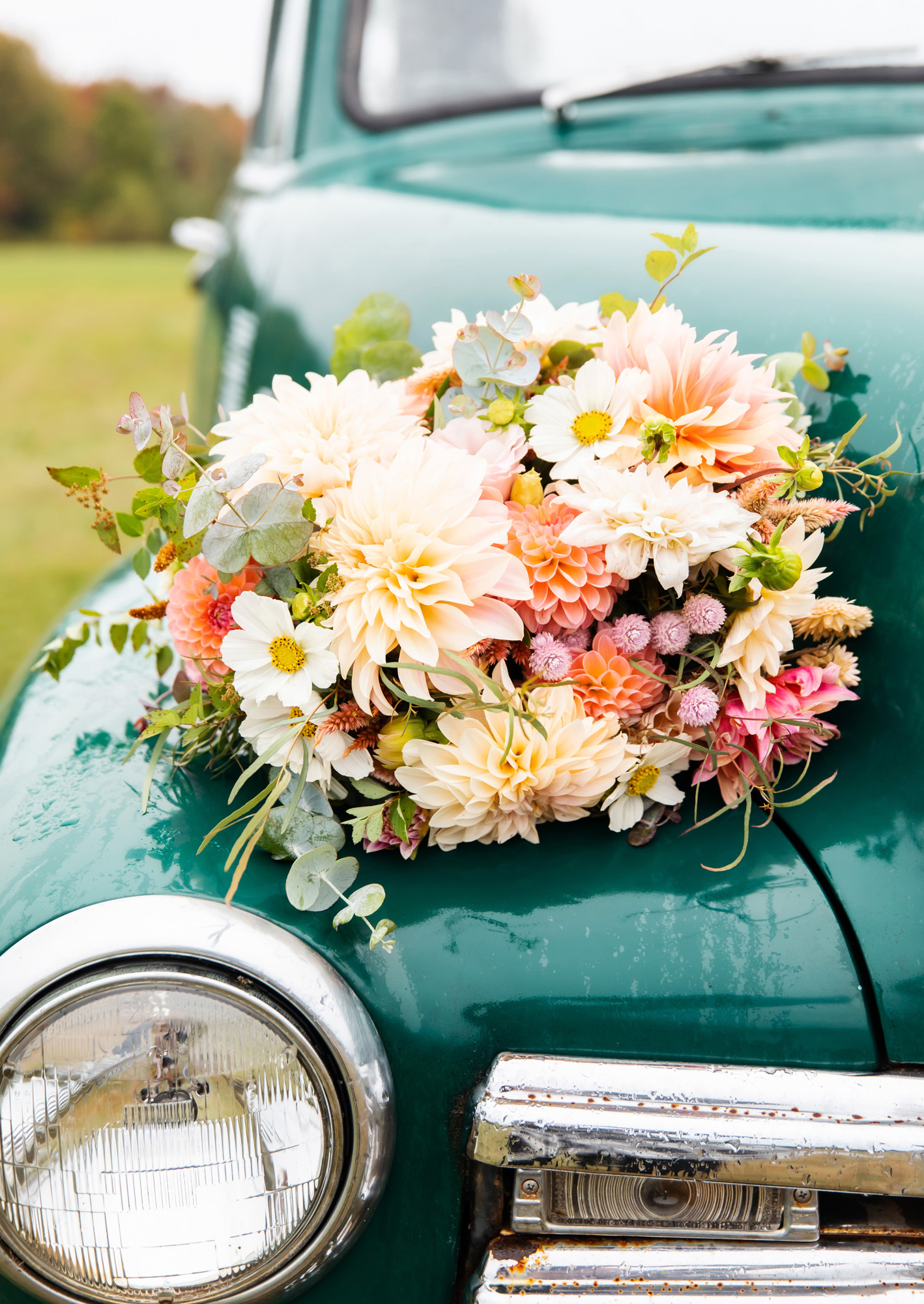 Valley View Farm Wedding