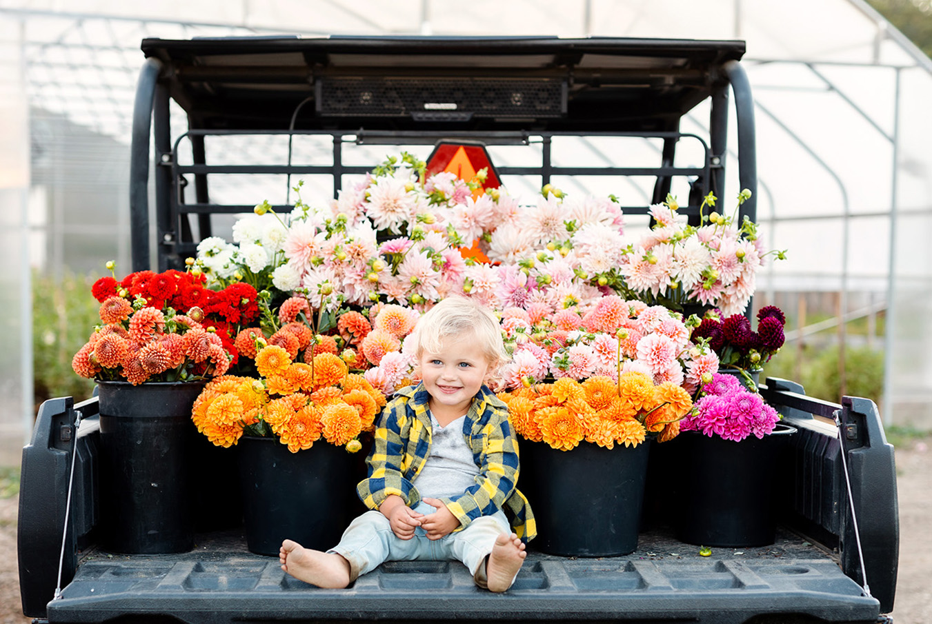 Rooted Flowers Massachusetts Florist
