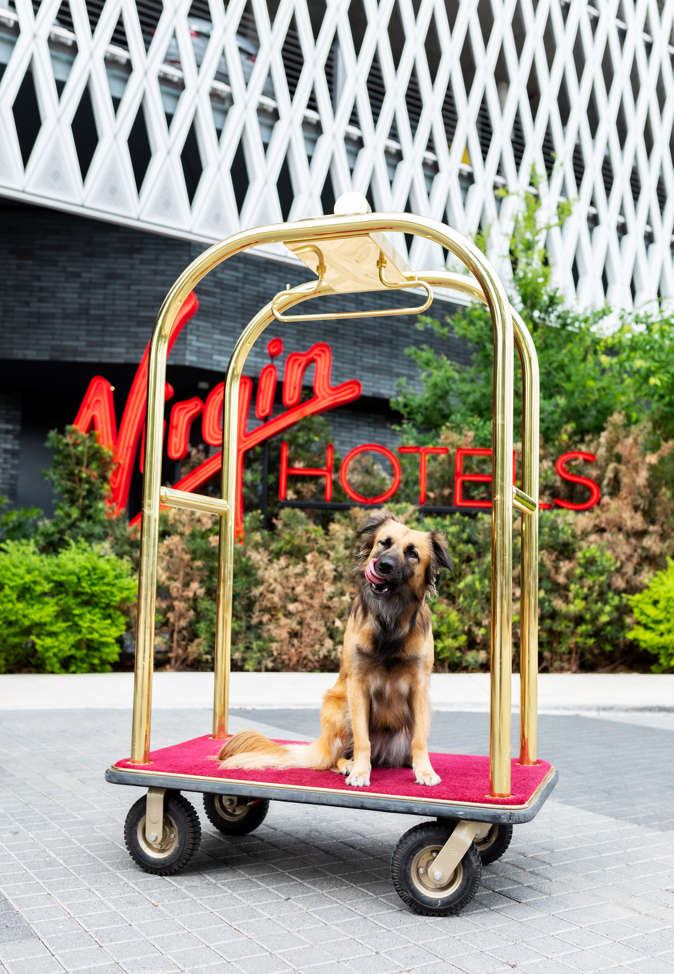 Hospitality Photography Travel Photography