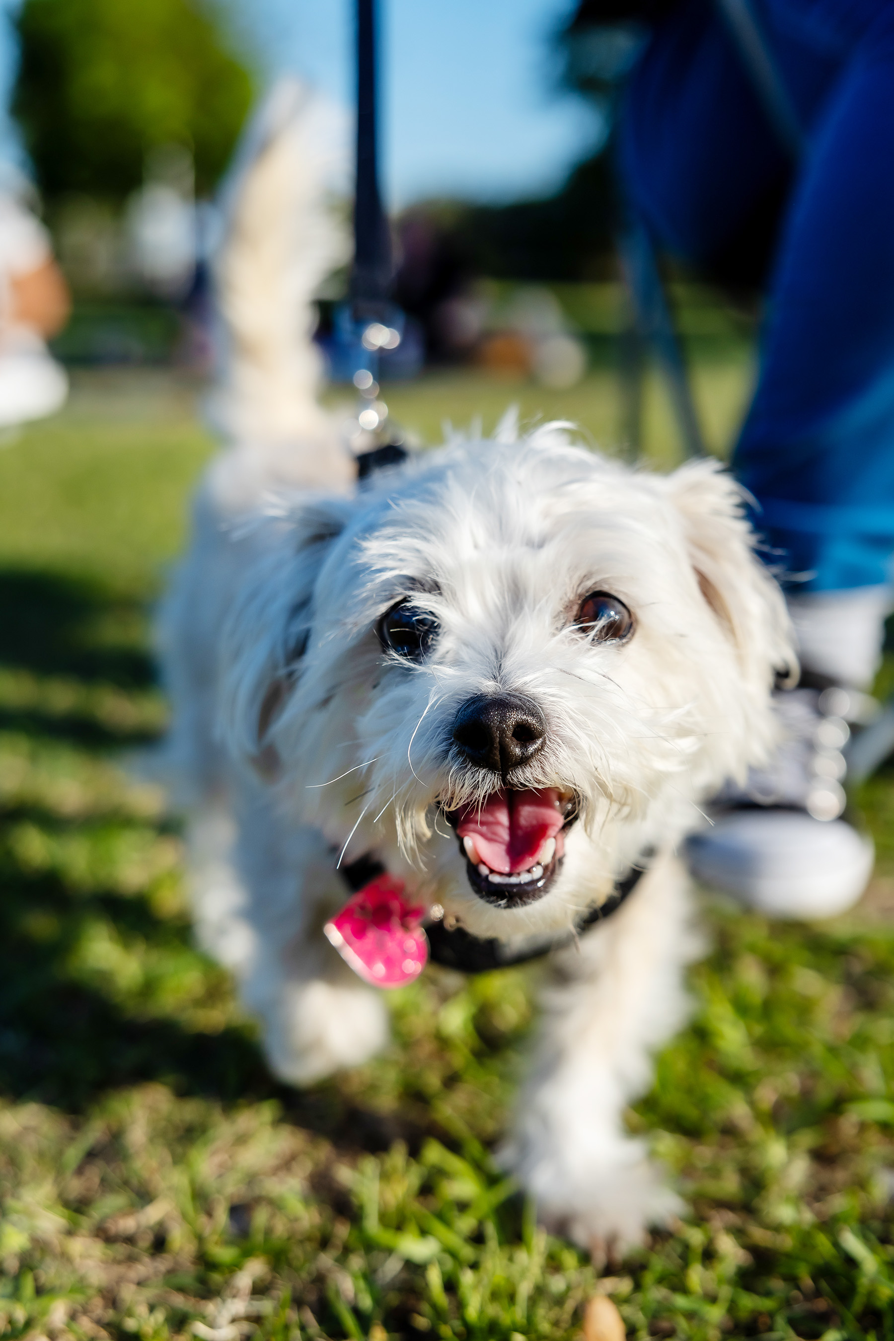 Dallas Event Photographer (43)